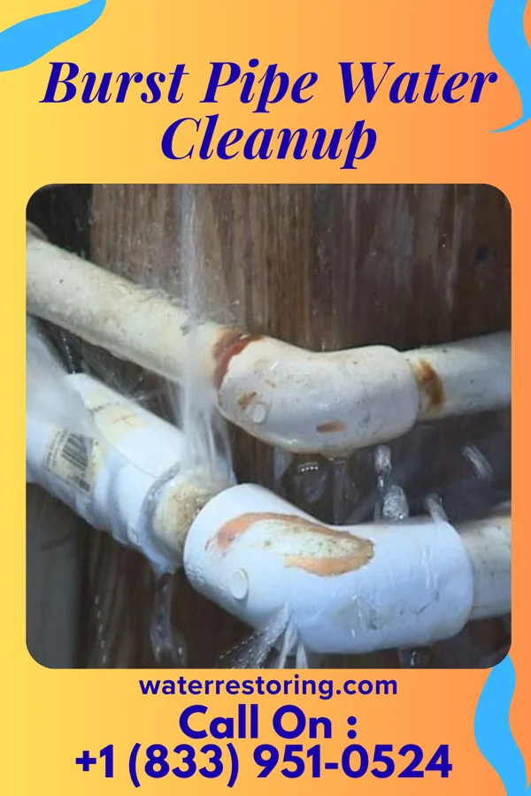 Burst Pipe Water Cleanup in Council Bluffs, IA